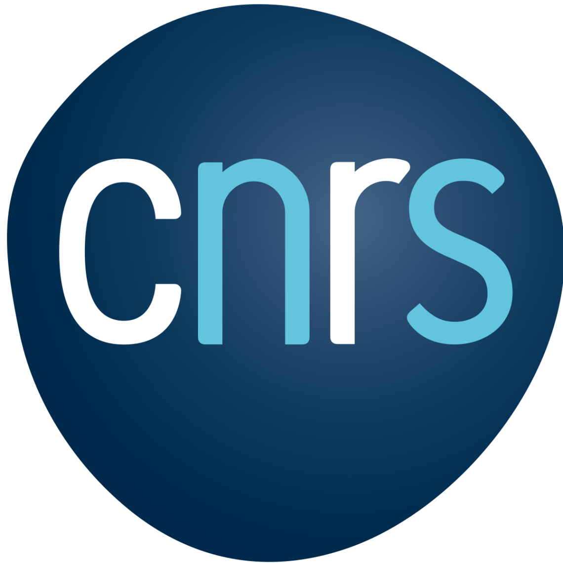 Concours  chercheur·euse·s CNRS 2023. Le LEST soutient votre projet