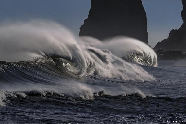 Ocean thriving. Comment les organisations peuvent changer la donne