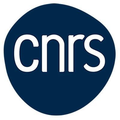 CNRS nouveau logo
