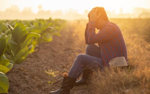 Dissonances agricoles : un verrou psychologique à comprendre
